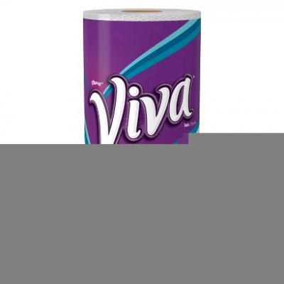 Viva Vantage White Paper Towels 1 Big Roll