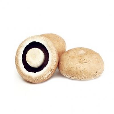 Setas Enteras (PR) / Whole Mushrooms, 8 oz