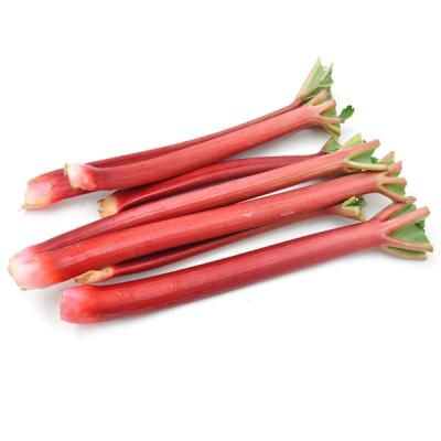 Rhubarb / Ruibarbo (US), precio por libra