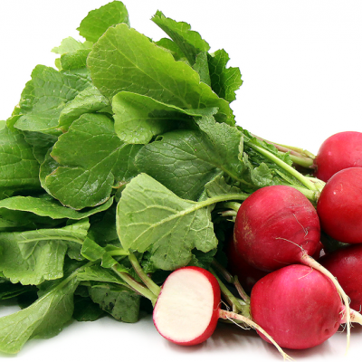 Red Radishes (US) / Rábanos, 6 oz