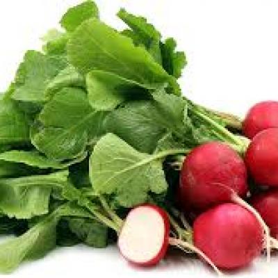 Rábanos / Radish, un racimo