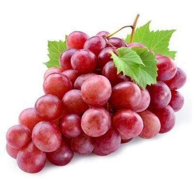 Uvas Red Globe / Grapes (Perú), precio por libra