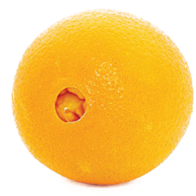 China Nebo / Navel Orange, 3 lbs