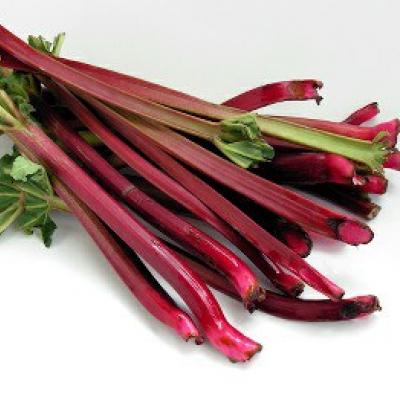 Rhubarb Cherry Red / Ruibarbo, precio por libra