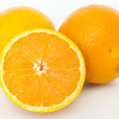 China Nebo (PR) / Navel Orange, por libra