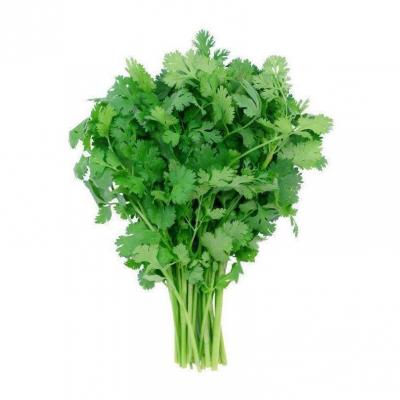 Cilantro / Coriander / Chinese Parsley, racimo