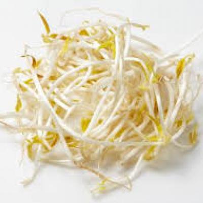 Bean Sprouts / Germinadas de Habichuelas (Puerto Rico), 1 pack