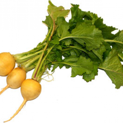 Yellow Turnips / Nabos Amarillas, precio por libra