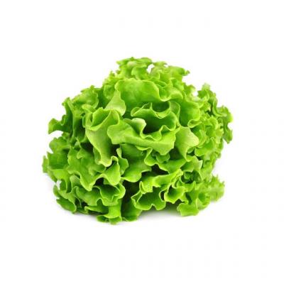 Lechuga del Pais, 1 ct