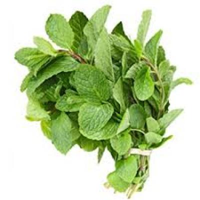 Menta Fresca (Mint) De Puerto Rico, 2 oz