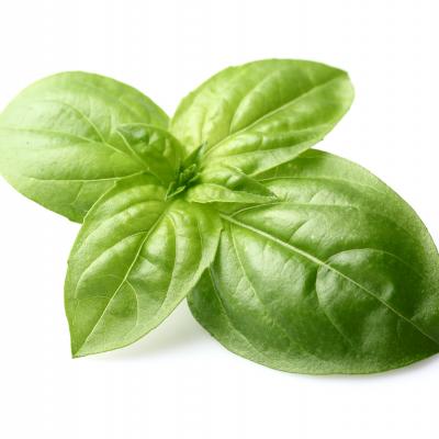 Albahaca / Basil, 2 oz