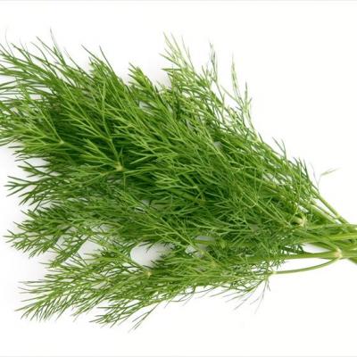 Eneldo Fresco / Fresh Dill (US), 0.75 oz