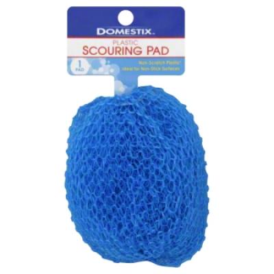 Domestix Dishwashing Pad 1 ct