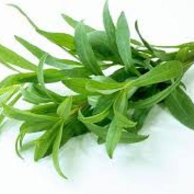 Estragón Fresco / Tarragon (PR), 0.75 oz