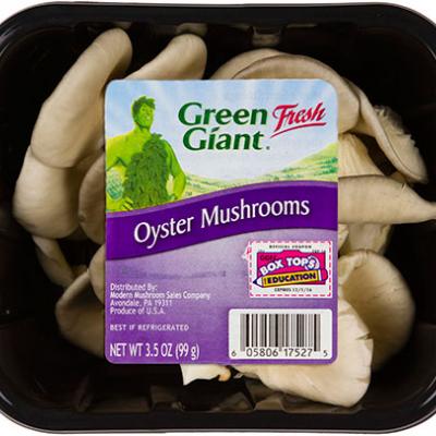 Green Giant Oyster Mushrooms, 3.5 oz