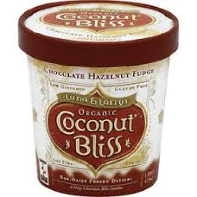 Coconut Bliss Ice Cream Chocolate Hazelnut Fudge, 16 oz