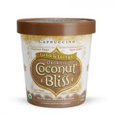 Coconut Bliss Ice Cream Organic Salted Caramel in Chocolate, 16 oz