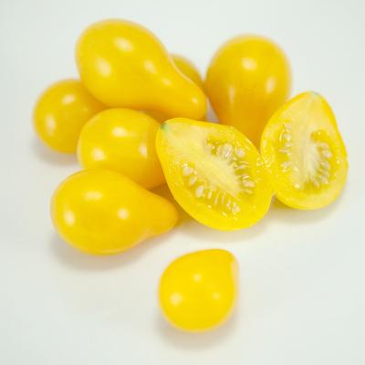 Yellow Pear Tomato, 1 ct