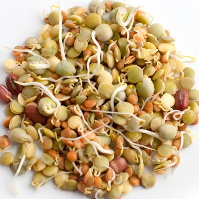 Germinados Mixtos (PR) / Mixed Sprouts, 4 oz