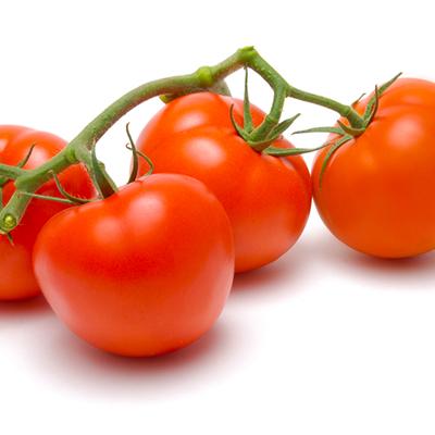 Red Tomatoes on the Vine (US), precio por libra