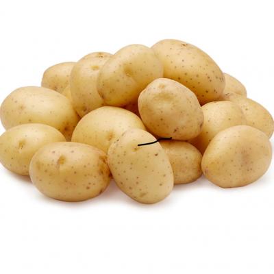 Artisan Mini Golden Potatoes, 20 oz