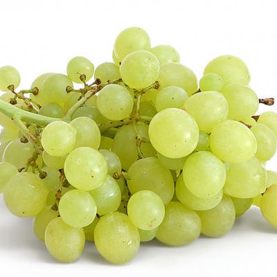 Seedless White Grapes / Uvas Blancas Sin Semilla, precio por libra