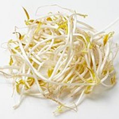 Campoverde Bean Sprouts (Mung) / Germinadas de Habichuelas, 8 oz