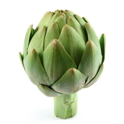 Alcachofa / Artichoke, 1 ct