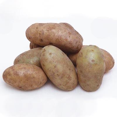 Russet Potatoes / Papas Russet, 10 lbs