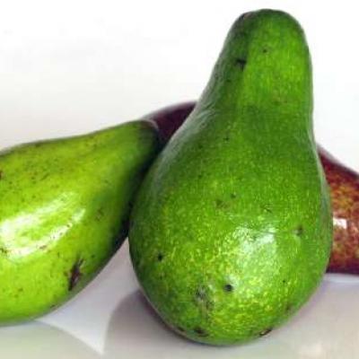 Aguacate de Puerto Rico / Avocado, 1 ct