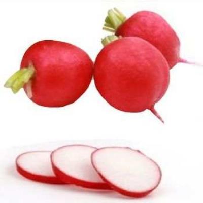 Red Radish / Rábanos, precio por libra