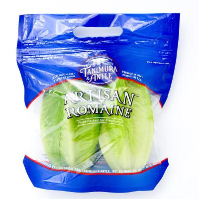 T&A Artisan Romaine Lettuce, 2 heads