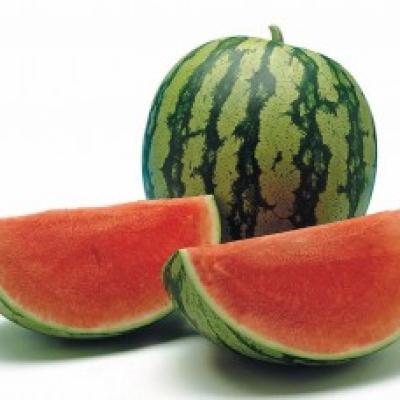 Bambino Watermelon / Melon, 1 ct