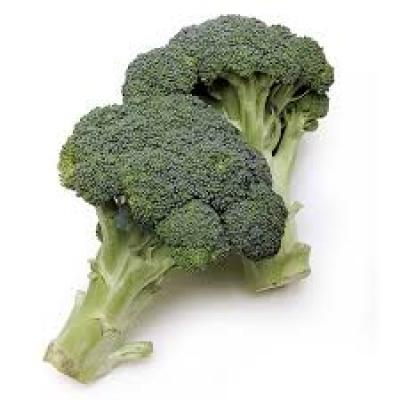 Organic Broccoli US / Brécol Orgánico, racimo