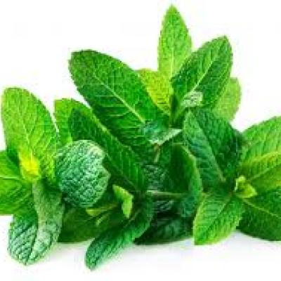 Yerbabuena / Spearmint, 0.5 oz