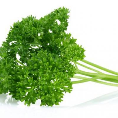 Curly Parsley / Perejil, 2 oz