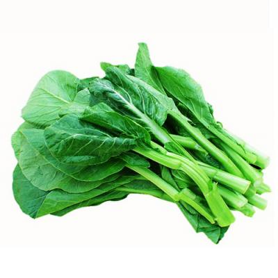 Chinese Cabbage / Choi Sum, por libra