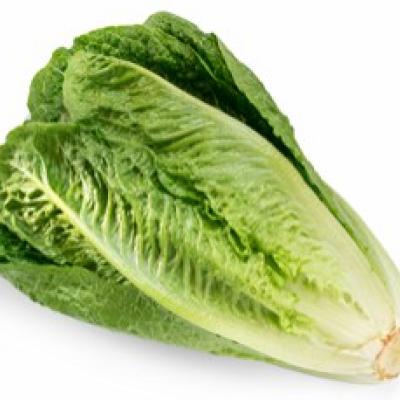 Romaine Lettuce / Lechuga Romana, 1 ct