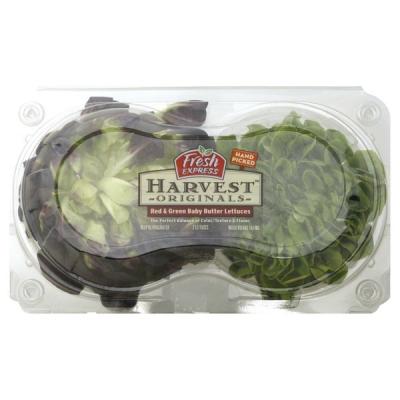 Fresh Express Baby Butter Lettuces, Red and Green, 2 lettuces