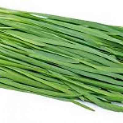 Garlic Chives (PR) / Cebollino, 0.5 oz