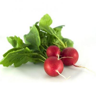 Rábano / Radish, 1 libra