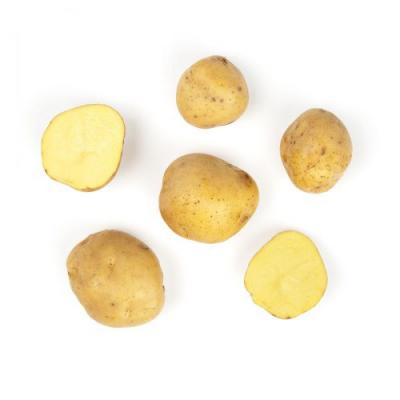 Organic Yukon Potatoes / Papas Yukon, 5 lbs