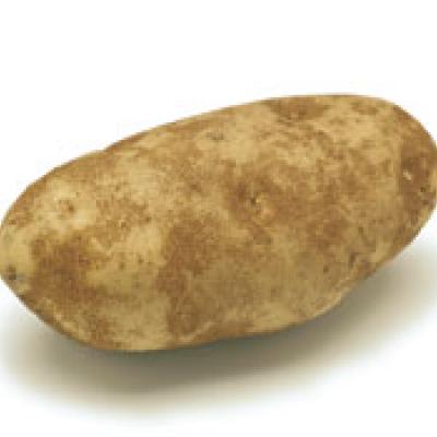 Baker's Potatoes, 5 lbs