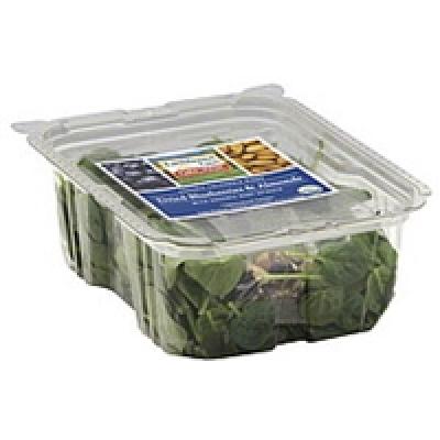 Earthbound Farm Salad & Topping Dried Blueberries & Almonds, with Organic Baby Spinach, 4.9 oz