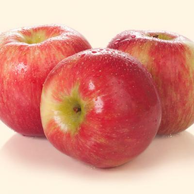 Organic Honey Crisp Apples / Manzanas, por libra