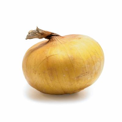 Cebolla Vidalia / Vidalia Onion, por libra