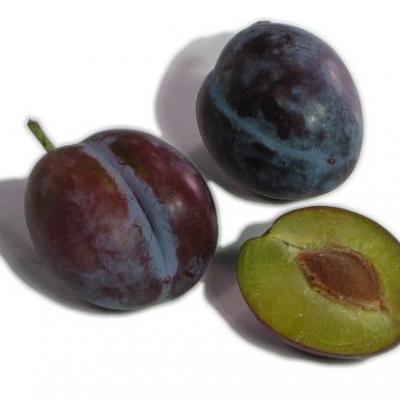 Italian Prune Plums / Ciruelas, precio por libra