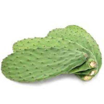 Cactus Leaf / Tuna Nopales, por libra