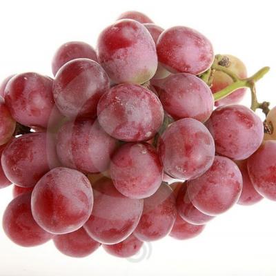 Uvas Red Globe / Grapes, precio por libra