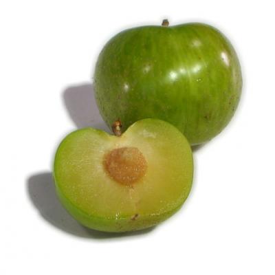 Pluot Green / Ciruela Albaricoque, precio por libra